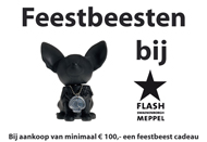 FLASH poster 2009
