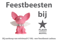 FLASH poster 2009