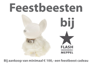 FLASH poster 2009