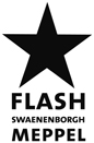 FLASH logo