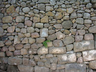 foto muur Molivos