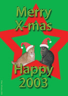 kerstkaart 2003