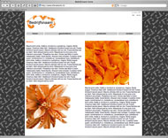 easywise34
