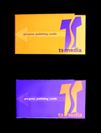 TS Media